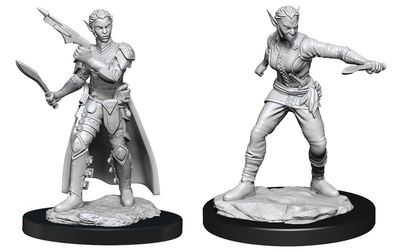 D&amp;D Nolzur's Marvelous Miniatures : Shifter Rogue