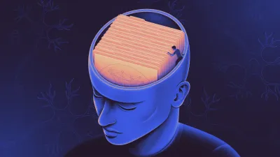 153 - Cognition &amp; Memory