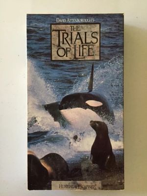 The Trials of Life - Hunting and Escaping (VHS) VHS - David Attenborough