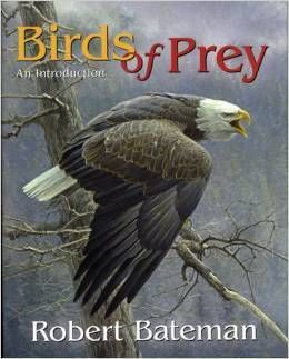 Bateman, Robert (590) Birds of Prey: An Introduction (HC)