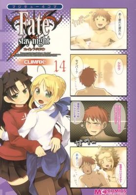 Fate / Stay Night Climax - Vol. 14 (USED)
