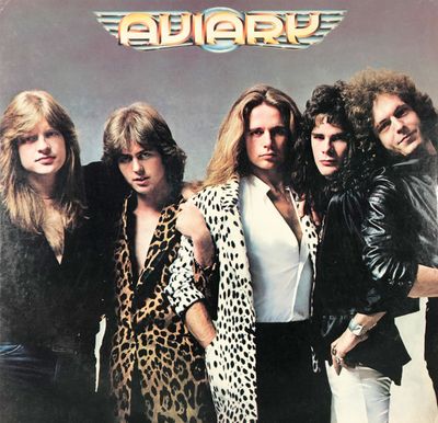 Aviary – Aviary (VG, 1979, LP, Epic / Park Lane – JE 35716)