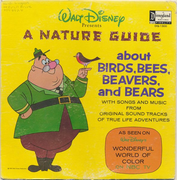 Walt Disney Presents A Nature Guide About Birds, Bees, Beavers, And Bears (G+, 1966, LP, Disneyland – DQ-1300) DSG