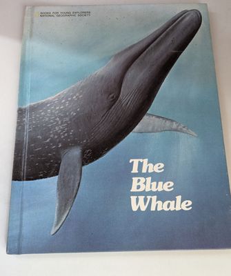 National Geographic Books for Young Explorers: The Blue Whale (1977, HC)
