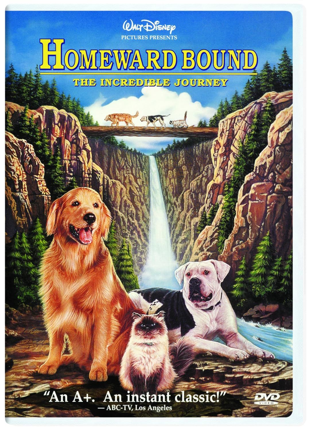 Homeward Bound The Incredible Journey (1993) (DVD)
