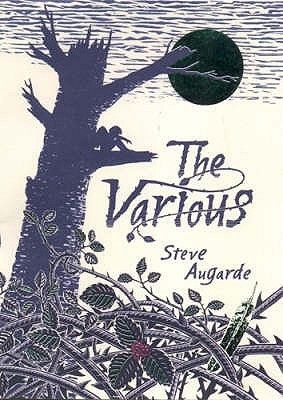 Augarde, Steve (YF) Touchstone Trilogy #1 The Various (TP)