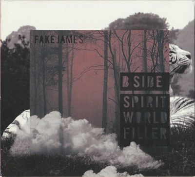Fake James – B Side Spirit World Filler (CD)