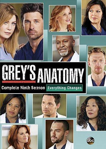 Grey's Anatomy: Season 9 (6x DVD)