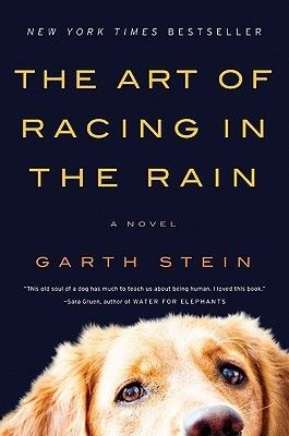 Stein, Garth (FI) The Art of Racing in the Rain (TP)