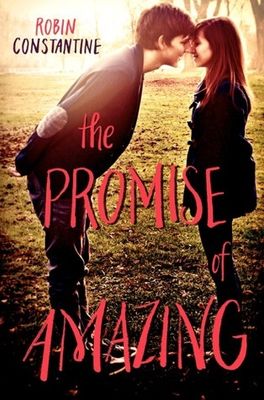 Constantine, Robin - The Promise of Amazing (HC)