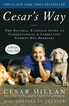 Millan, Cesar (636) Cesar's Way: The Natural, Everyday Guide to Understanding and Correcting Common Dog Problems (TP)