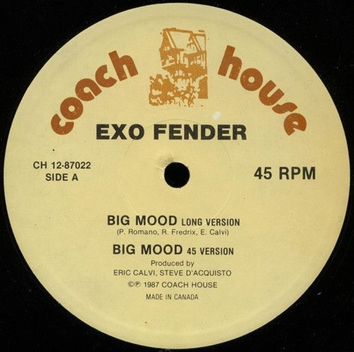 Exo Fender – Big Mood (NM, 1987, Vinyl, 12", Coach House – CH 12-87022)