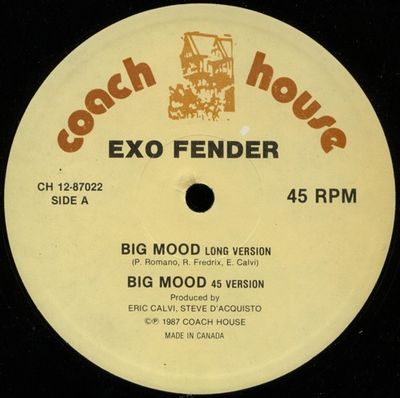 Exo Fender – Big Mood (NM, 1987, Vinyl, 12", Coach House – CH 12-87022)