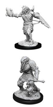 D&amp;D Nolzur's Marvelous Miniatures : Dragonborn Paladin