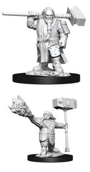 D&amp;D Nolzur's Marvelous Miniatures : Dragonborn Paladin