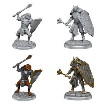 D&amp;D Nolzur's Marvelous Miniatures : Dragonborn Clerics