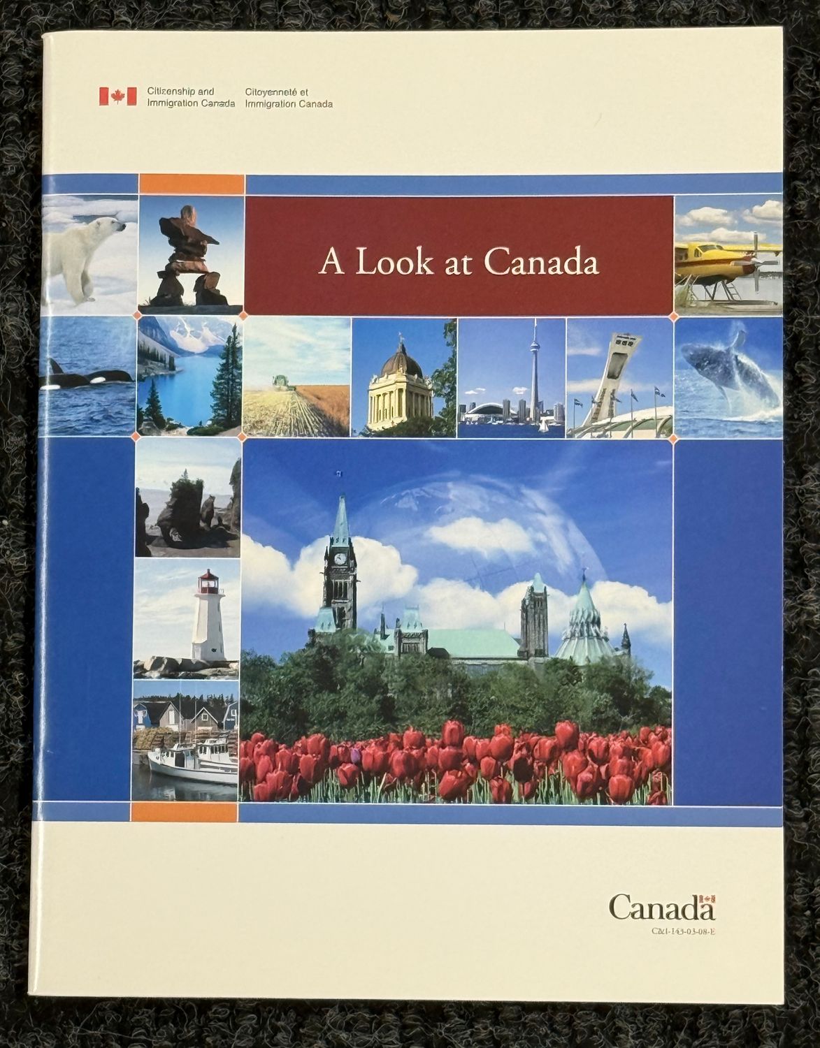 Citizen and Immigration Canada (971)A Look At Canada (Softcover)