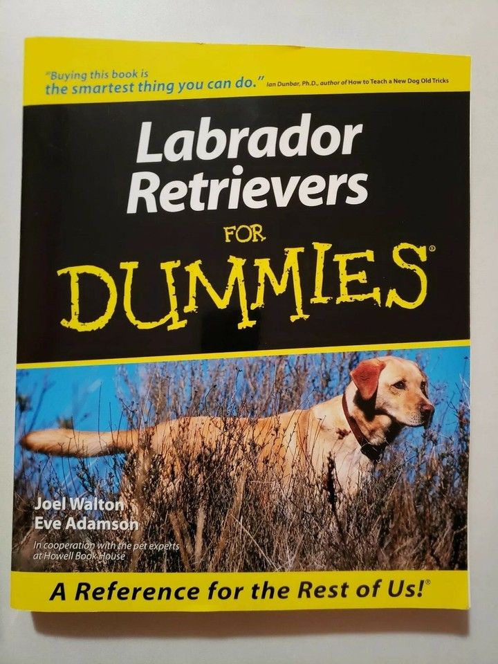 Walton, Joel &amp; Adamson, Eve (636.7) Labrador Retrievers for Dummies (Softcover)