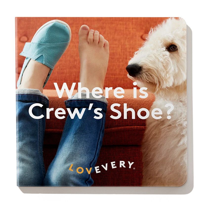 Lovevery (BOARD) Where is Crew's Shoe? (Damaged - last flap missing )