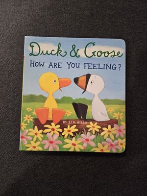 Hills, Tad (BOARD) Duck &amp; Goose - Duck &amp; Goose, How Are You Feeling?