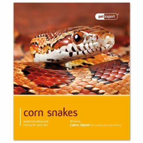 Jepson, Lance (590) Corn Snakes: Understanding and Caring for Your Pet (Softcover Small)