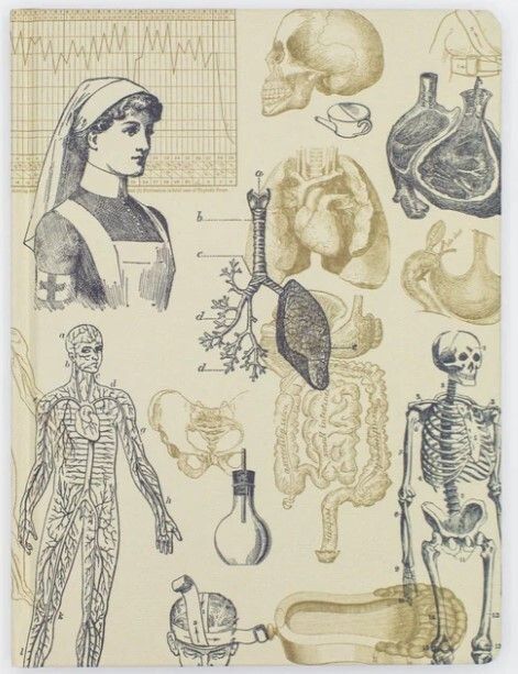 Cognitive Surplus The Hypothesis Notebook Series (Dot Grid Paper, HC)