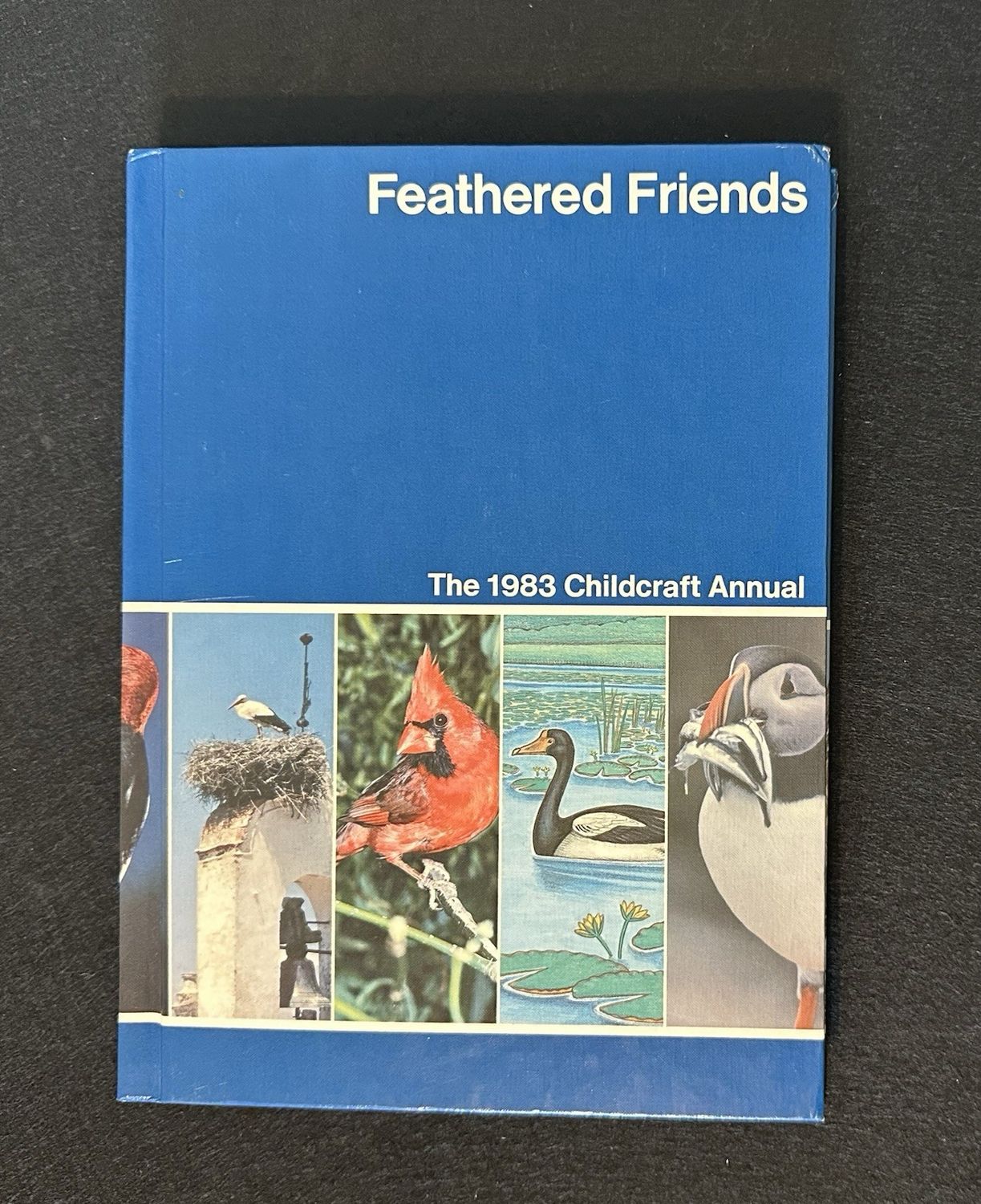 Childcraft (030) The 1983 Childcraft Annual - Feathered Friends (HC)