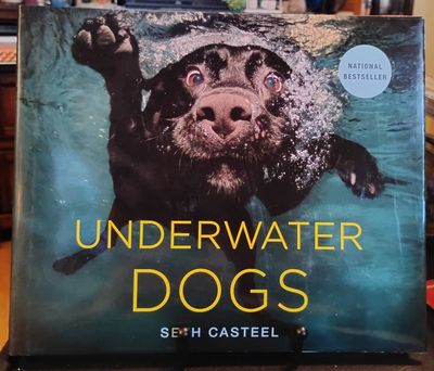 Casteel, Seth (599.3) Underwater Dogs (HC Large)