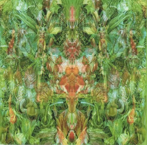 Bill Laswell – Emerald Aether: Shape Shifting (CD)