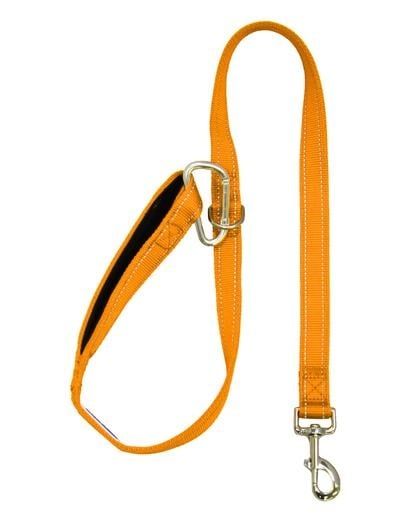 Hudson Leash
