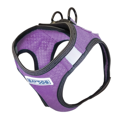 BAYDOG LIBERTY BAY HARNESS VIOLET MEDIUM