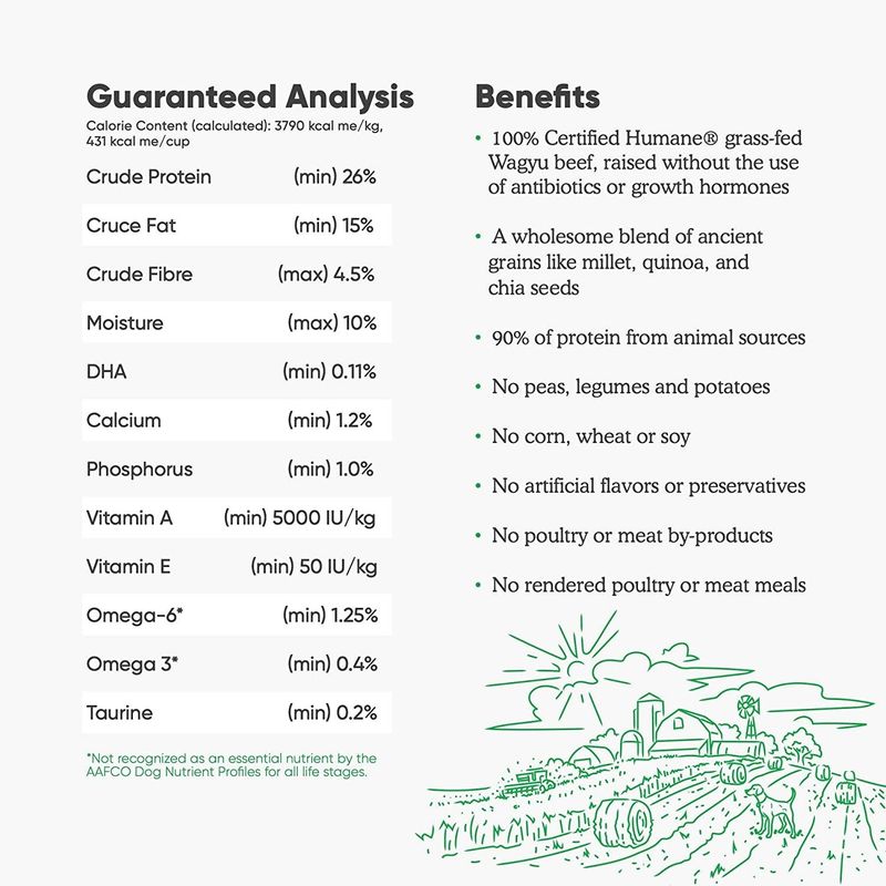 OPEN FARM DOG DRY BEEF RECIPE ANCIENT GRAIN