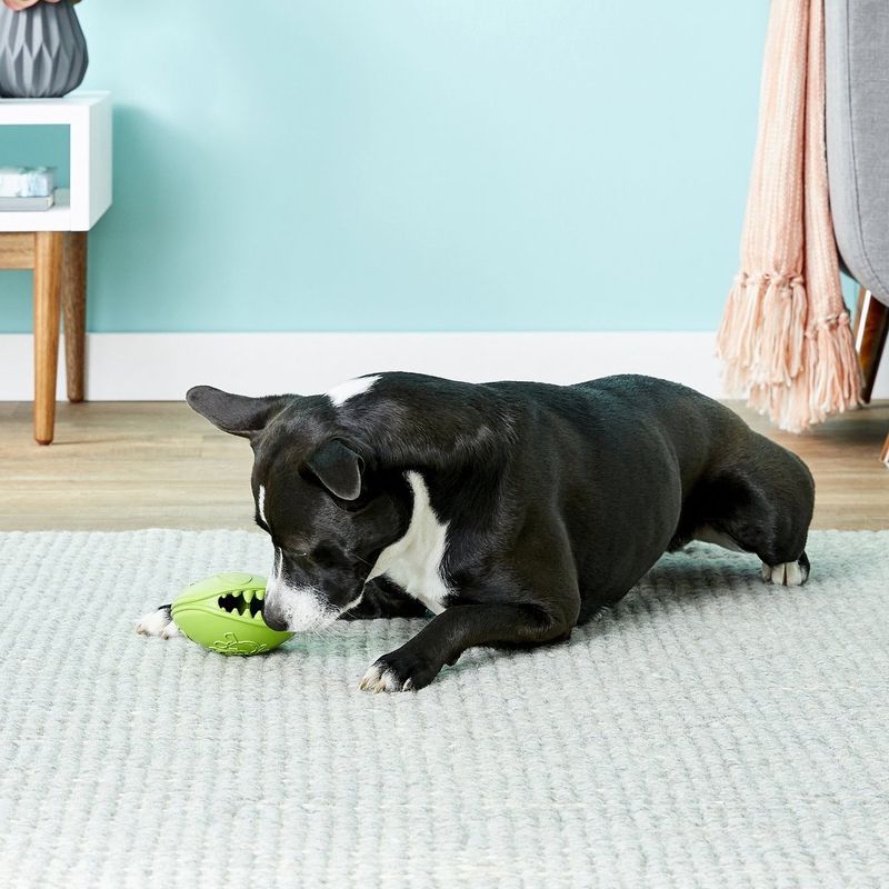 JOLLY PETS MONSTER MOUTH 4" green