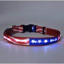 ORION LED Dog Collar Americana Small