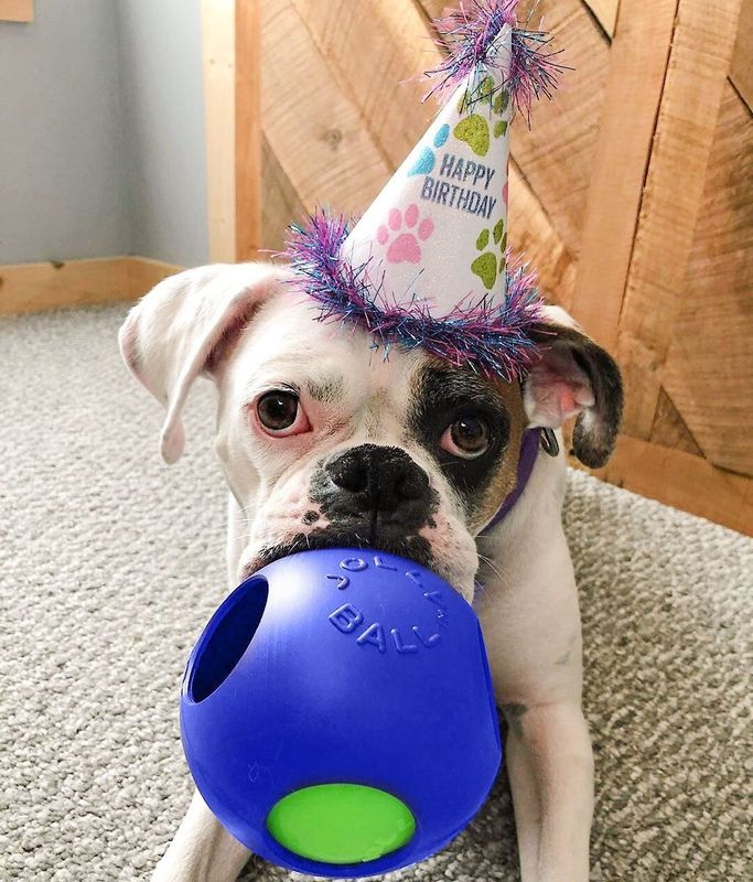 JOLLY PETS TEASER BALL 6" blue