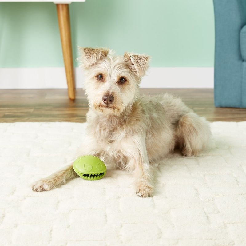 JOLLY PETS MONSTER MOUTH 3" green