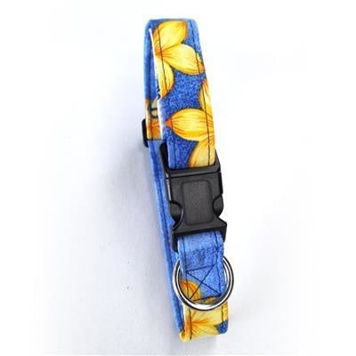 Beach Dog Key West Blue L Collar