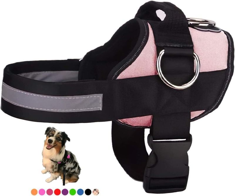 Joyride Star Pink No-Pull Easy On-Off Joyride Harness | XS