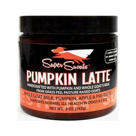 DYD SUPER SNOUTS PUMPKIN LATTE 10 OZ