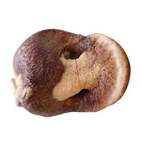 BONES &amp; CO FD DOG TREATS PIG / SNOUTS