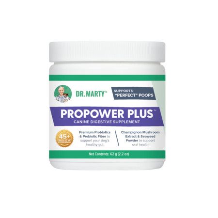 DR MARTY PRO PWR+ PROB 2.2Z DOG SPLM PROBIOTIC