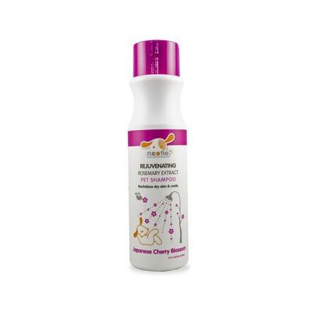 Nootie Shampoo Rejuvenating Japanese Cherry Blossom 16oz