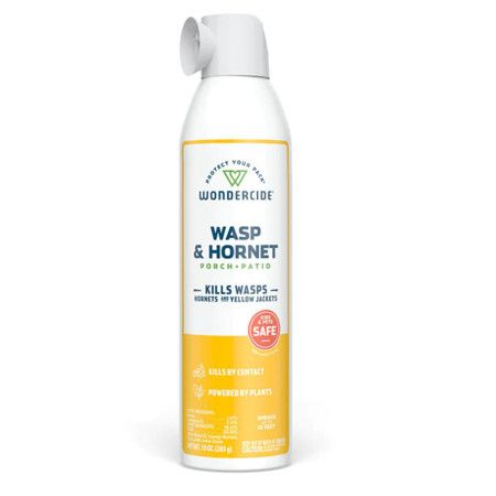WONDERCIDE PATIO AND PORCH WASP AND HORNET SPRAY 10 OZ