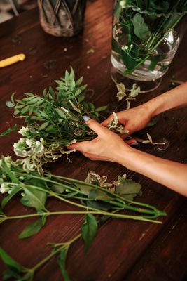 Hierbas aromáticas