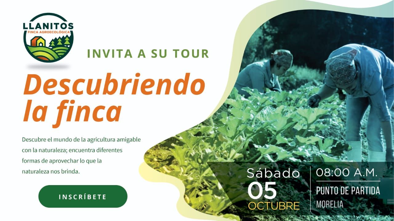 Tour “Descubriendo la finca” Duración 10 Hrs