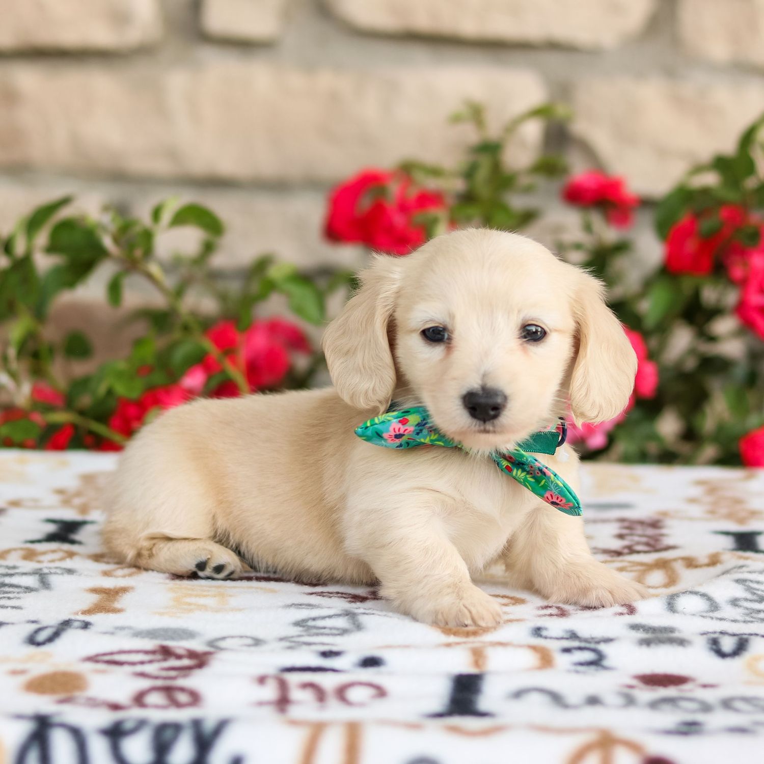 Oakley