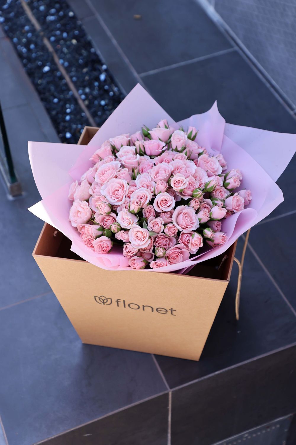 Pink Spray Roses