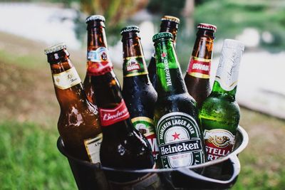 Beer