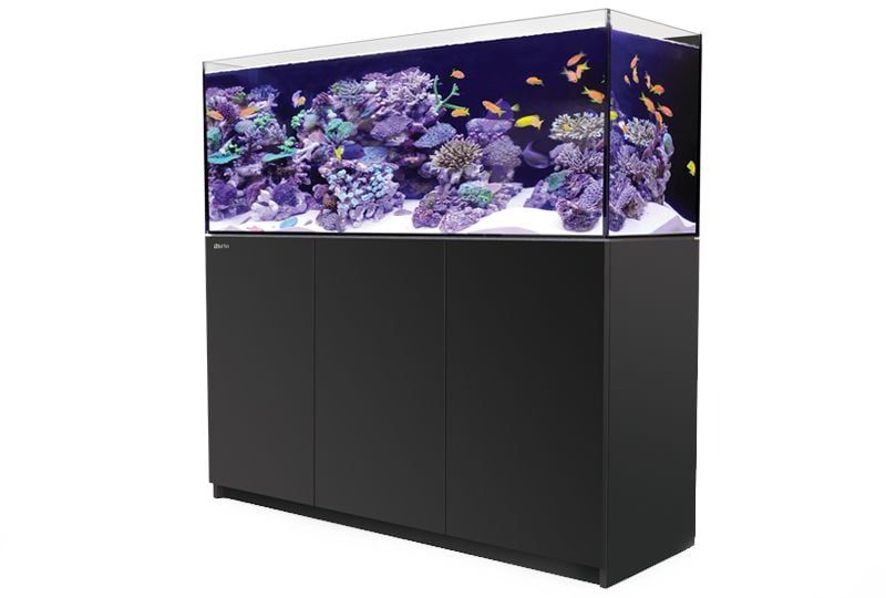 Reefer 450 (116g), Color: Black