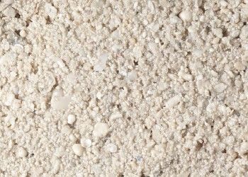 Ocean Direct Caribbean  Live Sand - 40lb